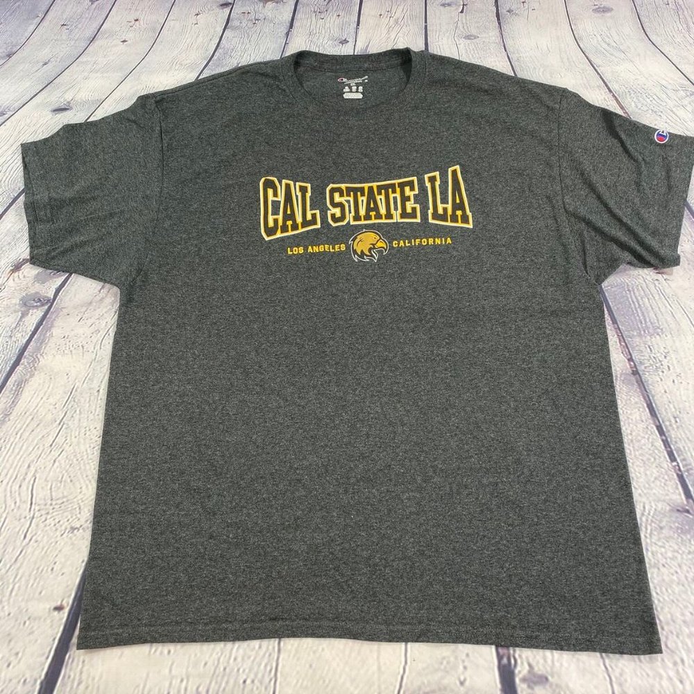 Champion Men's Relaxed Fit Jersey Tshirt Gray Tee - Picture 2 of 8